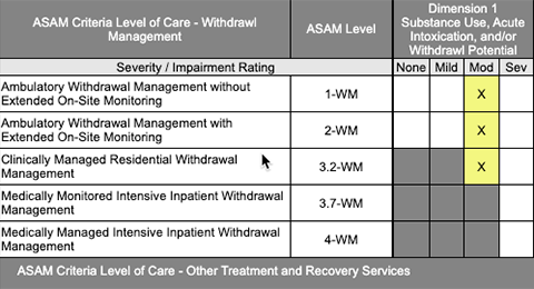 Screenshot of Substance Abuse Treatment Targeting with ASAM Assessment